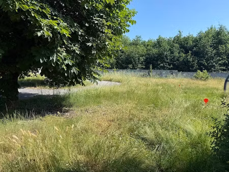 vente terrain à batir 865 m² à pont-saint-martin (44860)  119 000 €