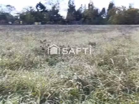 vente terrain à batir 4265 m² à rillé (37340)  105 000 €