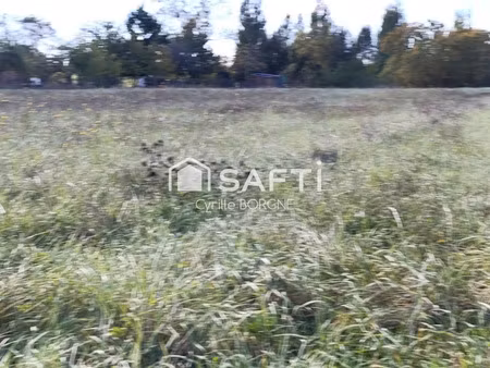 vente terrain à batir 4265 m² à rillé (37340)  112 500 €