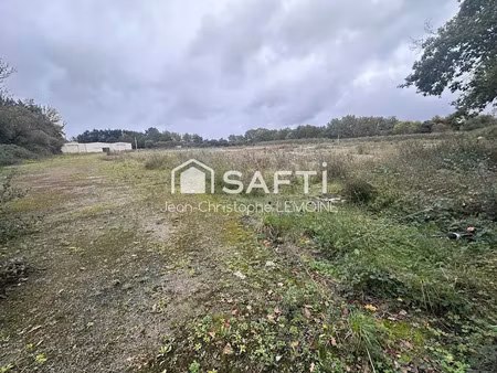 vente terrain à batir 19216 m² à nantes (44000)  1 370 000 €