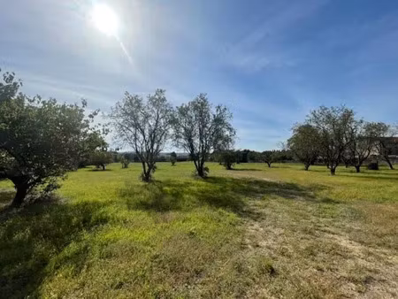 vente terrain 312 m² à uzès (30700)  89 900 €