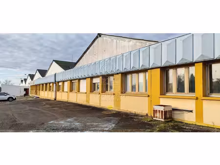 vente locaux professionnels 12867 m² à hagetmau (40700)  663 400 €