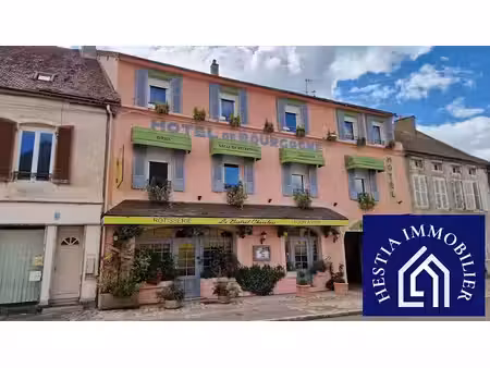 vente locaux professionnels 764 m² à saulieu (21210)  455 000 €