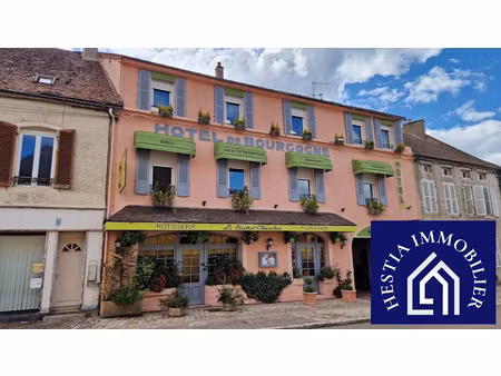 vente locaux professionnels 764 m² à saulieu (21210)  495 000 €