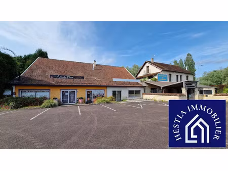vente immeuble 417 m² à montbard (21500)  300 000 €