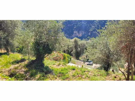 à acheter 130000 eur à breil-sur-roya : terrain de 1197m2