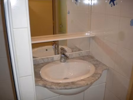location appartement 1 pièce 20 m² à metz (57000)  390 €