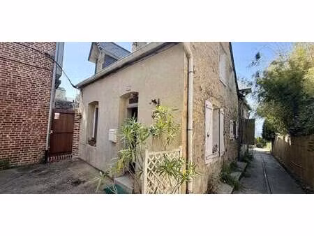 maison avec jardin villerville (14)