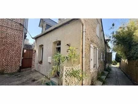 maison avec jardin villerville (14)