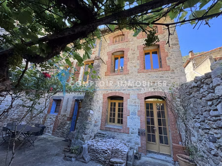 maison de village avec local commercial et appartements à vi