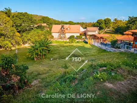 terrain 750 m² deshaies bas vent - secteur recherché
