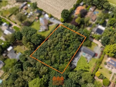 terrain à vendre à stekene € 80.000 (lpyye) - vastgoed de zutter | zimmo