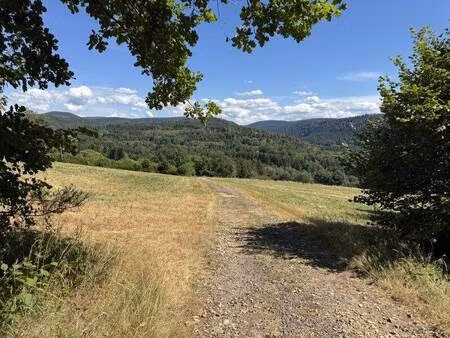 terrain à vendre
