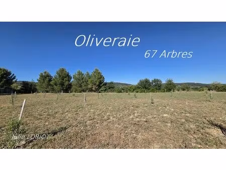 terrain agricole