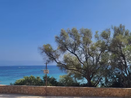vente commerce 46 m² ajaccio (20000)