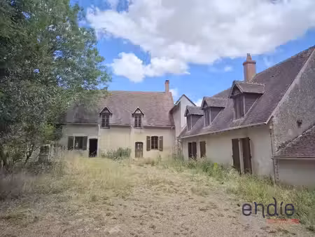 vente propriété 9 pièces 320 m² à germigny-l'exempt (18150)  232 000 €