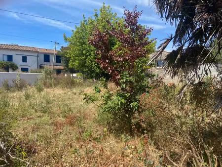 vente terrain 316 m² breuillet (17920)