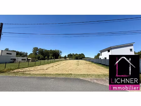 achat terrain 1 561m² siltzheim 67260