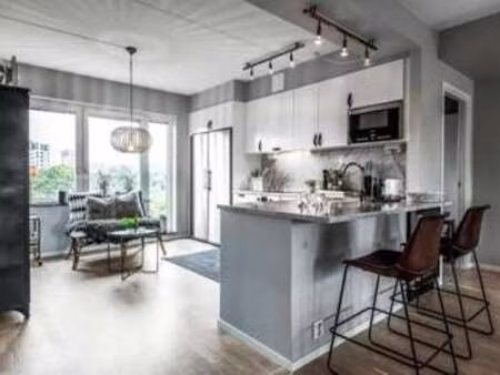 vente appartement 2 pièces à saint-pierre-d'oléron (17310) : à vendre 2 pièces / 55m² sain