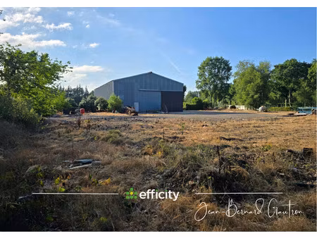 local commercial 1 pièce - 480 m²