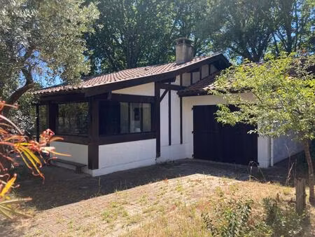 vente maison 3 pièces 56 m² saint-michel-escalus (40550)
