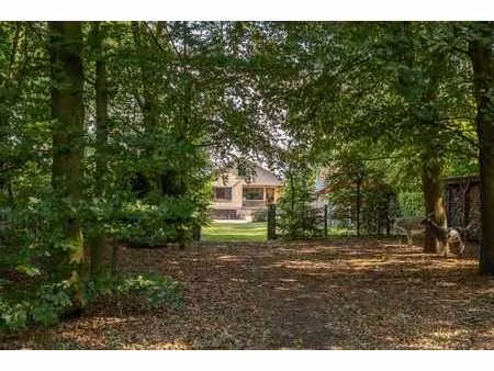 retrokarakter  diepe tuin en bosgevoel achteraan