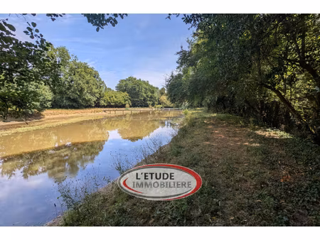 annonce terrain à vendre
