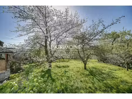 vente terrain