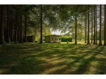 chalet meublé -odeigne (manhay/ durbuy)