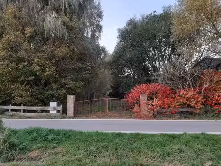 terrain avec petit étang- somme-leuze (durbuy)