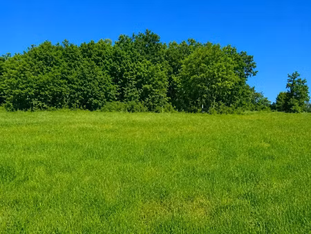 vente terrain 1428 m² à celles (24600)  14 500 €