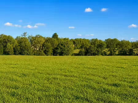 vente terrain 1000 m² à saint-méard-de-drône (24600)  20 000 €