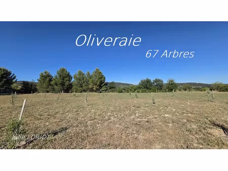 vente terrain 3814 m² à neffiès (34320)  23 500 €
