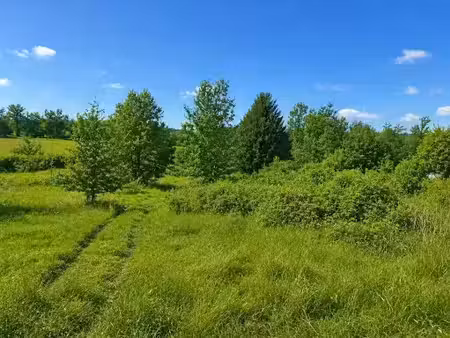 vente terrain 5336 m² à saint-vincent-jalmoutiers (24410)  27 600 €