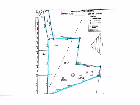 vente terrain à batir 1131 m² à sainte-blandine (79370)  31 000 €