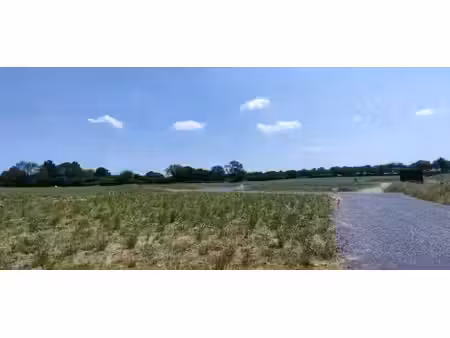 vente terrain 474 m² à jarzé (49140)  48 348 €