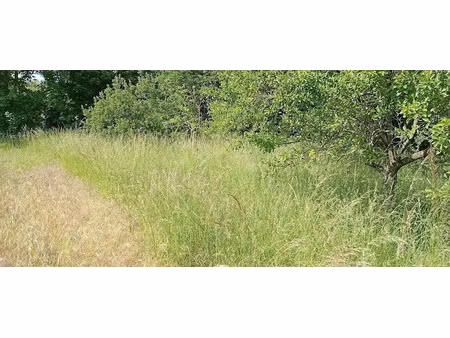 vente terrain à batir 2200 m² à bucy-le-long (02880)  50 000 €