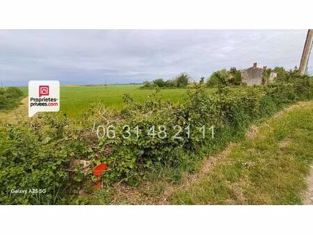 terrain constructible 1622 m2 non viabilise