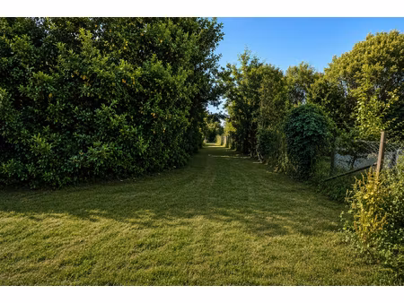 vente terrain  2870.00m²  fongrave