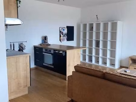 superbe appartement cosy 1 chambre avec grande terrasse