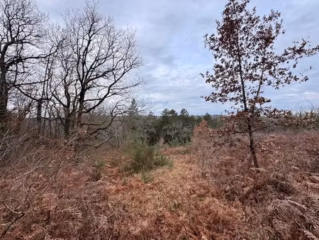 vente terrain 6721 m² à perigueux (24000)  79 000 €