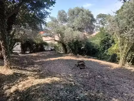 vente terrain 1193 m² à saint-savournin (13119)  322 000 €