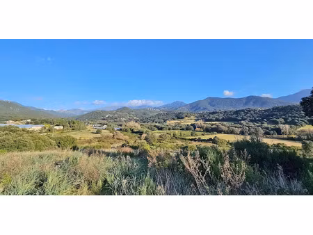 vente terrain à batir 870 m² à bastelicaccia (20129)  180 000 €