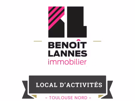 vente locaux professionnels 2020 m² à ondes (31330)  1 491 000 €