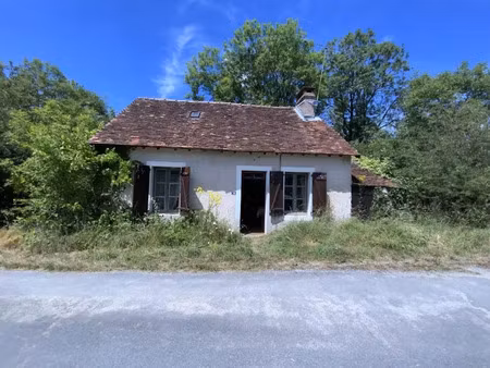 vente maison 3 pièces 56.61 m² à saint-léger-magnazeix (87190)  39 900 €