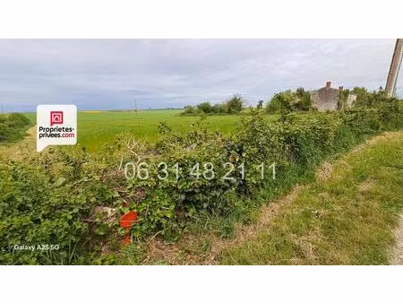achat terrain 1 622m² montreuil 85200