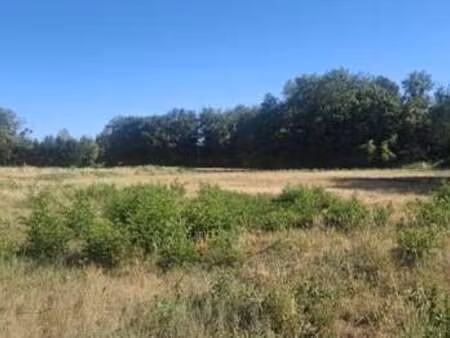 vente terrain à briare (45250) : à vendre / 5407m² briare