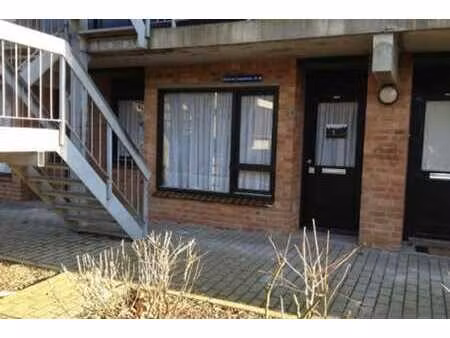 studio de 30 m2 à louer à l'hocaille