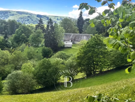 maison de luxe à vendre à trémouille