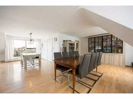 mooi dakappartement met 3 slaapkamers en groot terras.